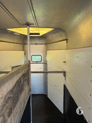 IFOR WILLIAMS TRAILERS HB-505 R 2-paards paardentrailer Photo 8