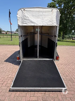 IFOR WILLIAMS TRAILERS HB-505 R 2-paards paardentrailer Photo 6