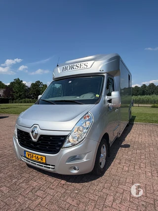 RENAULT MASTER 2-paards paardenwagen