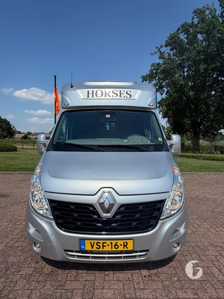 RENAULT MASTER 2-paards paardenwagen Photo 3