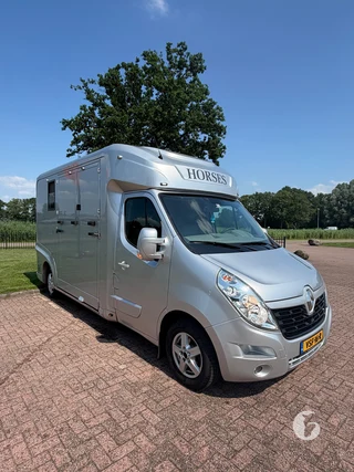 RENAULT MASTER 2-paards paardenwagen Photo 4