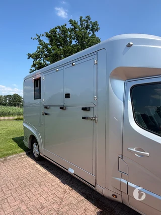 RENAULT MASTER 2-paards paardenwagen Photo 5