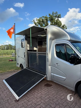 RENAULT MASTER 2-paards paardenwagen Foto 5