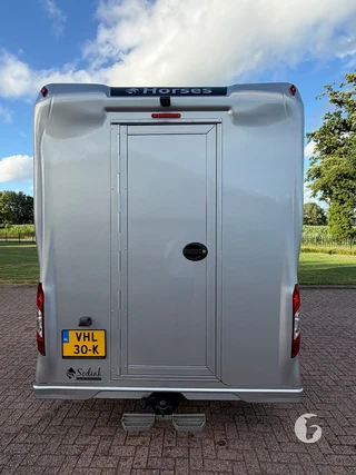 RENAULT MASTER 2-paards paardenwagen Foto 12