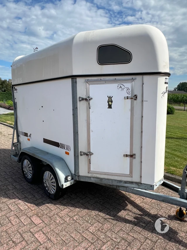 HOTRARIJS OTELLO 1,5-paards paardentrailer