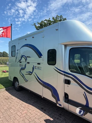 RENAULT MASTER 2-paards paardenwagen Foto 5