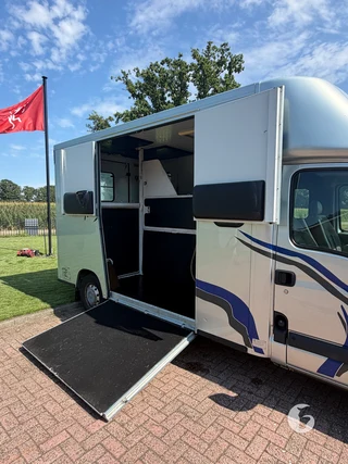 RENAULT MASTER 2-paards paardenwagen Foto 6