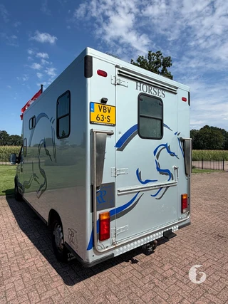 RENAULT MASTER 2-paards paardenwagen Foto 9