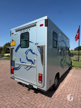 RENAULT MASTER 2-paards paardenwagen Foto 10