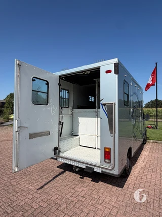 RENAULT MASTER 2-paards paardenwagen Foto 12