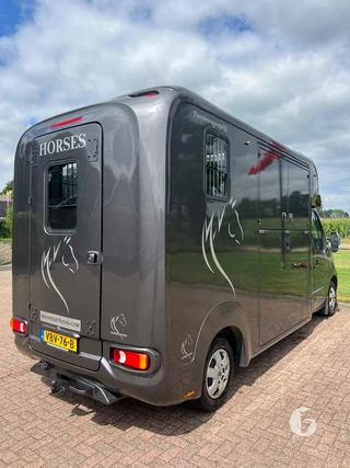 HVM MASTER HORSEBOX 2-paards paardenwagen Photo 12