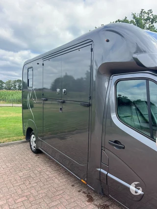 HVM MASTER HORSEBOX 2-paards paardenwagen Photo 5