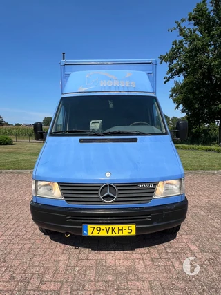 Mercedes-Benz SPRINTER 2-paards paardenwagen Photo 3