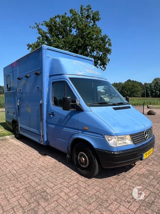 Mercedes-Benz SPRINTER 2-paards paardenwagen Photo 4