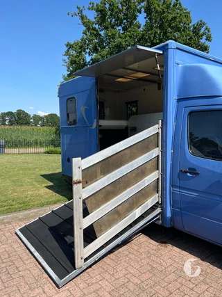Mercedes-Benz SPRINTER 2-paards paardenwagen Photo 7