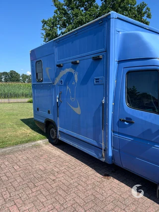 Mercedes-Benz SPRINTER 2-paards paardenwagen Photo 5