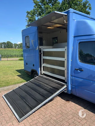 Mercedes-Benz SPRINTER 2-paards paardenwagen Photo 6