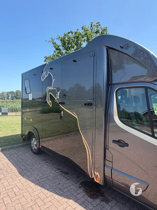 Renault 2-paards paardenwagen Photo 5