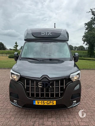 STX MASTER HORSEBOX 2-paards paardenwagen