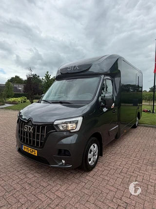 STX MASTER HORSEBOX 2-paards paardenwagen Photo 3