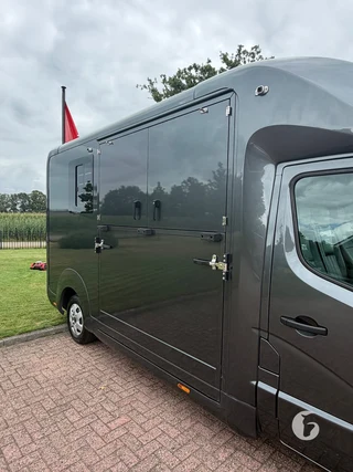 STX MASTER HORSEBOX 2-paards paardenwagen Photo 4