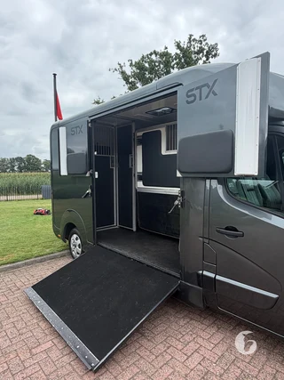 STX MASTER HORSEBOX 2-paards paardenwagen Photo 5