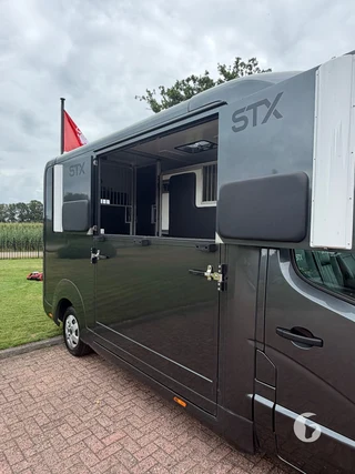 STX MASTER HORSEBOX 2-paards paardenwagen Photo 6