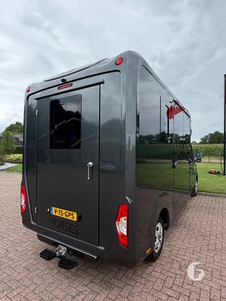 STX MASTER HORSEBOX 2-paards paardenwagen Photo 10