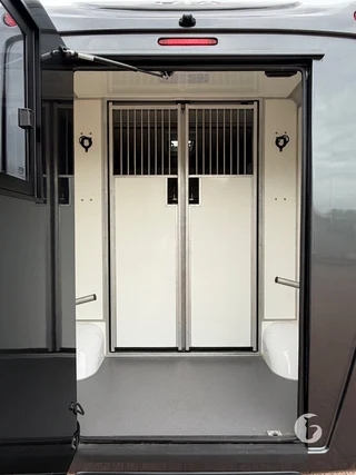 STX MASTER HORSEBOX 2-paards paardenwagen Photo 11