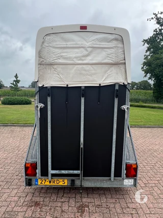 WEYER AANHANGERS W1300 1,5-paards paardentrailer Photo 4