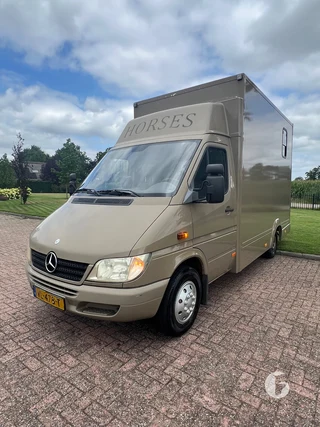 Mercedes-Benz 308 CDI 2-paards paardenwagen