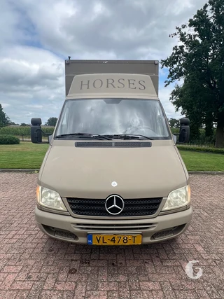 Mercedes-Benz 308 CDI 2-paards paardenwagen Foto 3