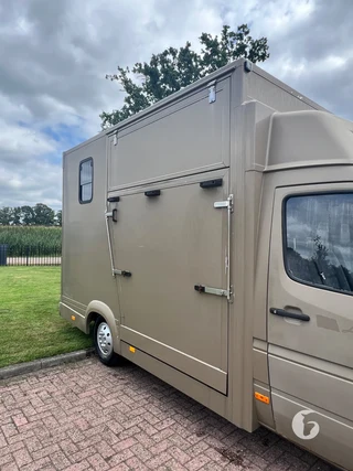 Mercedes-Benz 308 CDI 2-paards paardenwagen Foto 5