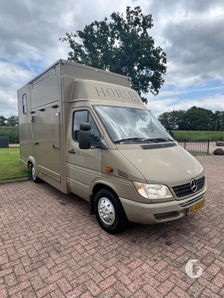 Mercedes-Benz 308 CDI 2-paards paardenwagen Foto 4