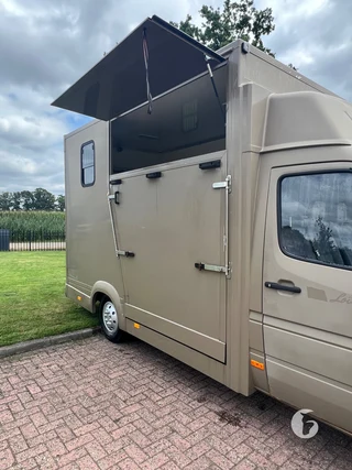 Mercedes-Benz 308 CDI 2-paards paardenwagen Foto 6
