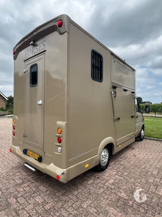 Mercedes-Benz 308 CDI 2-paards paardenwagen Foto 10