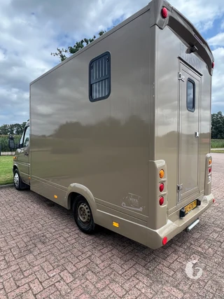 Mercedes-Benz 308 CDI 2-paards paardenwagen Foto 11