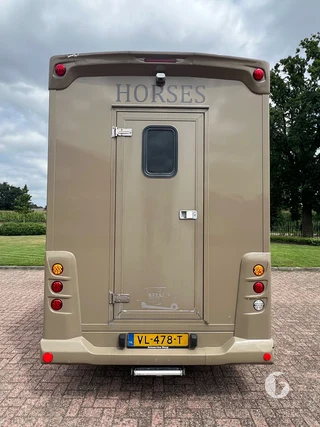 Mercedes-Benz 308 CDI 2-paards paardenwagen Foto 12