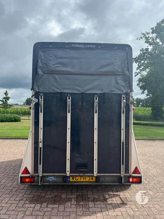 BLOMERT T2 2-paards paardentrailer Foto 7