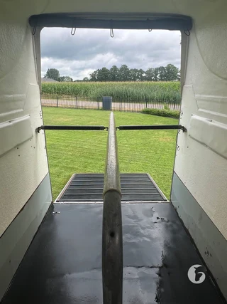 BLOMERT T2 2-paards paardentrailer Foto 11