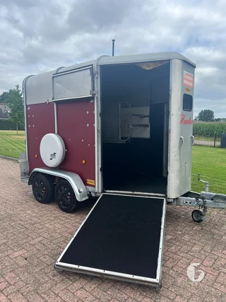 IFOR WILLIAMS TRAILERS HB 2-paards paardentrailer Foto 3