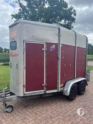 IFOR WILLIAMS TRAILERS HB 2-paards paardentrailer Foto 4