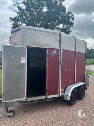 IFOR WILLIAMS TRAILERS HB 2-paards paardentrailer Foto 5