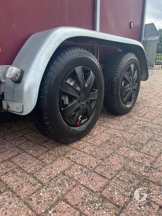 IFOR WILLIAMS TRAILERS HB 2-paards paardentrailer Foto 11