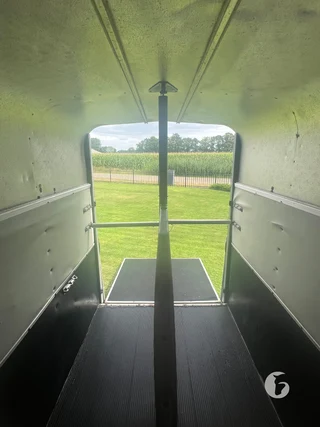 IFOR WILLIAMS TRAILERS HB 2-paards paardentrailer Foto 10