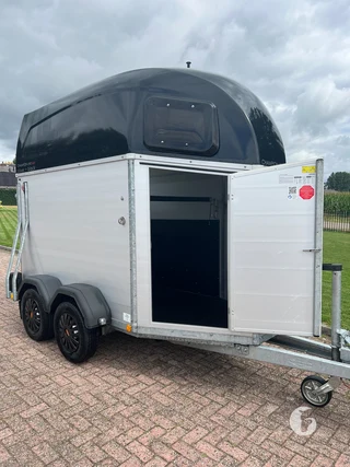 Böckmann PHA-P-V3013/160 1,5-paards paardentrailer Foto 3