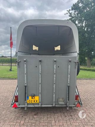 HOTRARIJS VT 2-paards paardentrailer Photo 6