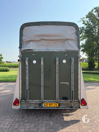 STEMA DERBY 2 2-paards paardentrailer Photo 8