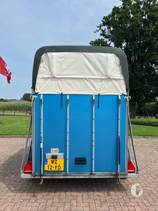 WESTTRAILERS PT165 2-paards paardentrailer Foto 6