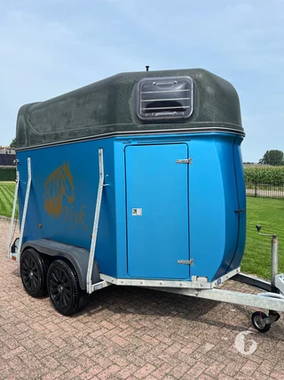 WESTTRAILERS PT165 2-paards paardentrailer Foto 4